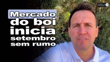 Boi começa setembro de lado avaliando consumo interno e exportações, informa Thiago Bernardino