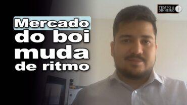 Boi gordo: diminui pressão de compra por parte dos frigoríficos. Luis Gustavo Susumo, do CEPEA