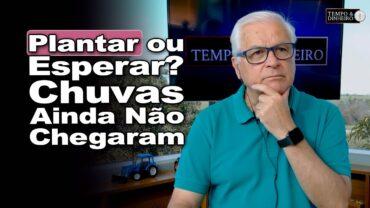 Plantio está autorizado, mas chuvas ainda não chegaram… o que você vai fazer ?