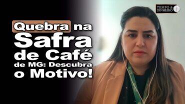 Café tem safra finalizada em MG e vem com quebra no volume e rendimento