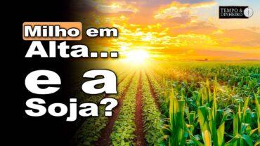 Milho safrinha tem boas alternativas para opções. Para a soja melhor momento passou?