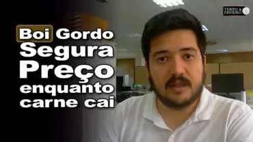 Boi gordo tem estabilidade de preços e cenário de baixa no mercado de carne