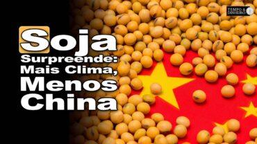 Soja tem oportunidade com prêmios! “Mais clima, menos China”? Victor Cazzo explica