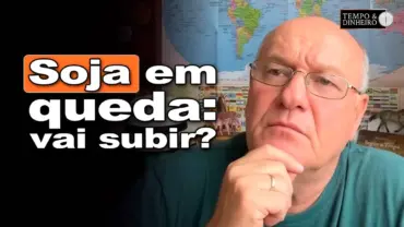Soja está abaixo de 11 US$ por bushel: será que os preços vão se recuperar? Brandalizze responde