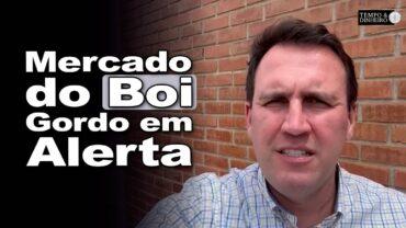 Boi gordo esfria com dólar e entrada da segunda quinzena? T. Bernardino, do CEPEA, analisa o mercado