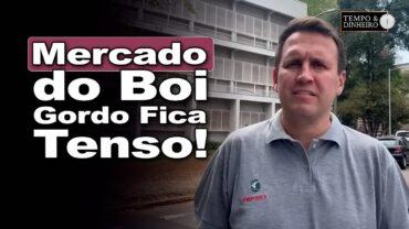 Boi gordo pressionado no balcão e de olho na valorização da arroba em dólar, informa Bernardino