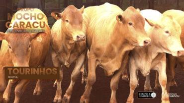 Tourinhos Reserva – 3º Encontro dos Criadores – Grupo Mocho Caracu