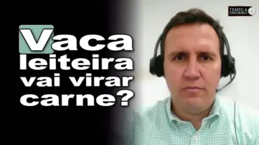Leite tem queda de preços e fica em R$2.6236 média Brasil. Vaca leiteira vai virar carne?