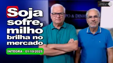 Soja sob pressão da colheita nos EUA e milho ganha destaque no poder do comprador