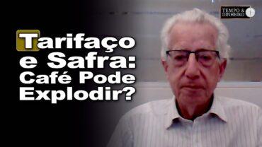 Café: estoques, tarifaço e clima; safra Brasil/Vietnã e exportações em 50 mi sacas?