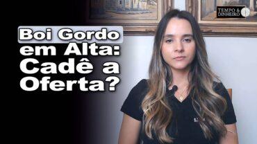 Boi gordo e reposição: preços começam a evoluir e pecuaristas seguram oferta