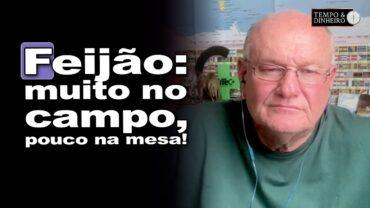 Feijão em queda de preço e baixa demanda: o que esperar?