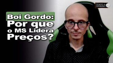 Boi gordo: entressafra com oferta? MS com preços acima de SP. Água no cocho atrapalha?