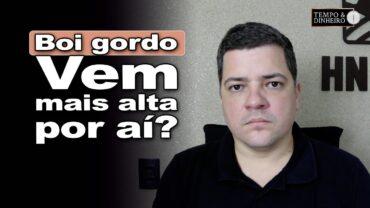 Boi tem espaço para novas alta? Hyberville Neto comenta essa possibilidade