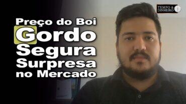 Boi gordo estável observa valorização do mercado de carne, informa Luis Gustavo Susumo, do CEPEA