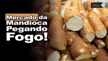 Mandioca: mercado registra 7ª alta consecutiva e segue firme para os derivados, informa Fábio Isaías