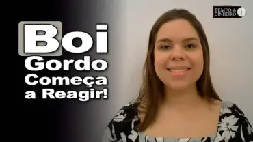 Boi gordo esboça reação neste começo de mês, analisa Isabela Zavatti, do CEPEA