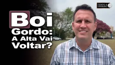 Boi gordo: período das águas e alta da arroba vão se repetir? Thiago Bernardino do CEPEA comenta