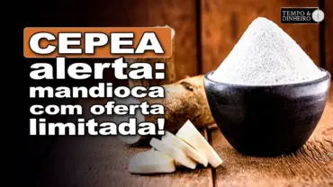 Mandioca: oferta limitada e rentabilidade afetada, informa Fábio Isaías Felipe, do CEPEA