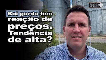 Boi gordo tem reação de preços. Tendência de alta? Thiago Bernardino, do CEPEA, comenta
