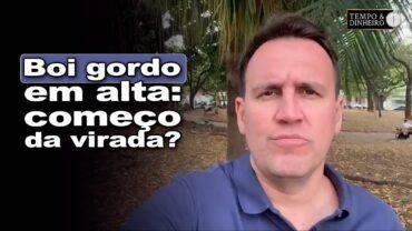 Boi gordo dá sinais de recuperação nos preços? Apenas um “ensaio”? Thiago Bernardino comenta