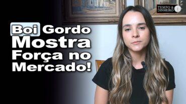 Boi gordo começa segunda quinzena com preços firmes, informa Isabella Camargo