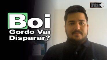 Boi gordo com tendência de alta? Luis Gustavo Susumo, doi CEPEA, comenta o mercado de pecuária