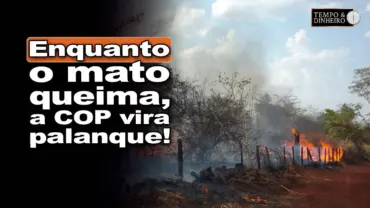 Hipocrisia ambiental: floresta pega fogo em Barretos enquanto Lula faz política com a COP-30