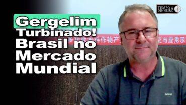 Gergelim tem DNA aprimorado na China e Brasil entra no mercado mundial