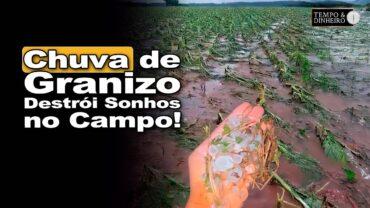 Produtor se desespera ao ver toda sua lavoura destruída pelo granizo