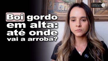 Boi gordo e reposição com recuperação de preços. Mas pode subir até quanto a arroba?