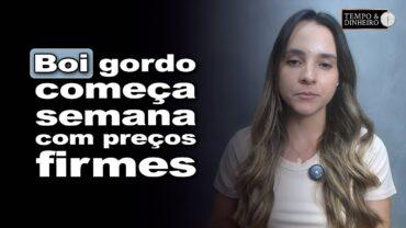 Boi gordo começa semana com preços firmes. Veja a análise de Isabella Camargo