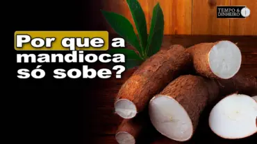 Mandioca: Média sobe pela 8ª semana consecutiva, informa Fábio Isaías Felipe