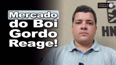 Boi gordo tem preços mais firmes e monitora oferta de gado de confinamento, comenta Hyberville Neto