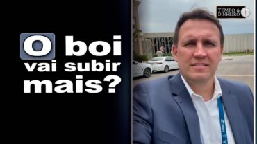 Boi gordo: “todos querem saber se o boi vai subir mais”. Confira com Thiago Bernardino, do CEPEA