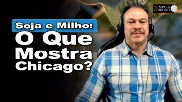 Analista revela como milho e soja se comportam na bolsa de Chicago