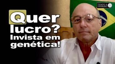 Boi gordo e estação de monta: “É preciso investir na genética para garantir rentabilidade”