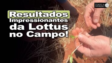 Descubra como a lottus biossoluções está mudando as lavouras no paraguai