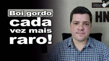 Boi gordo: redução da oferta de machos para abate, registra Hyberville Neto