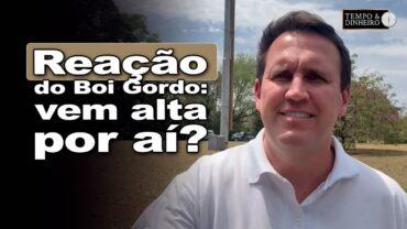 Boi gordo reage neste início de mês. Mas quanto vai subir? Thiago Bernardino, do CEPEA, comenta