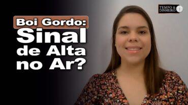 Boi gordo: mercado tem sinalizado estabilidade até ligeira alta, comenta Isabela Zavatti, do CEPEA