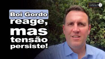 Boi gordo: melhora liquidez mas segue queda de braço entre indústria e pecuarista