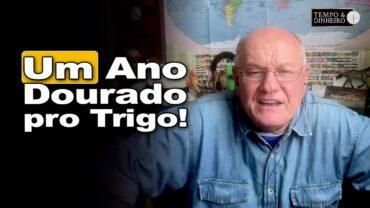 Trigo em alta: descubra o que faz deste ano o melhor da última década