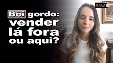 Boi gordo mira mercado interno ou exportações? Isabella Camargo analisa o movimento do setor