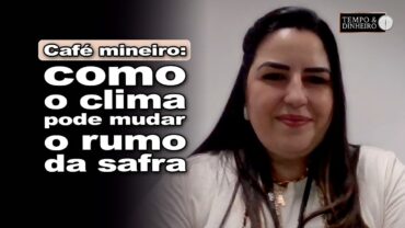 Café em MG : produtores de olho no clima e últimas chuvas, analisa Ana Carolina Gomes, da FAEMG