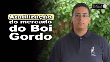 Boi gordo: oferta, demanda e abates. Saiba como está o mercado com o analista Gustavo Duprat