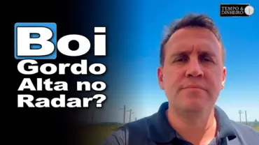 Boi gordo com perspectivas positivas para dezembro e virada do ano, analisa Thiago Bernardino