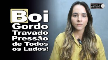 Boi gordo tem queda de braço entre indústria e pecuaristas. Mercado físico estável