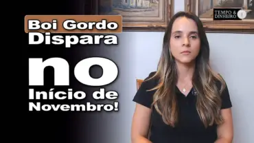 Boi gordo fecha primeira semana de novembro com preços firmes e de olho nas exportações