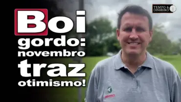 Boi gordo: novembro gera otimismo no mercado com escalas mais curtas, exportações e consumo de carne